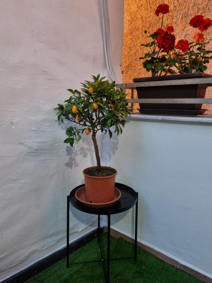 Giardino Moreno 팔레르모 외부 사진